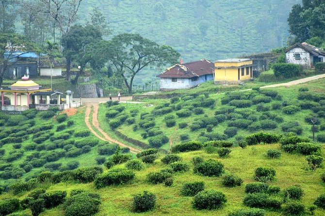 Explore The Rustic Life Of Thekkady With Lunch - Key Points