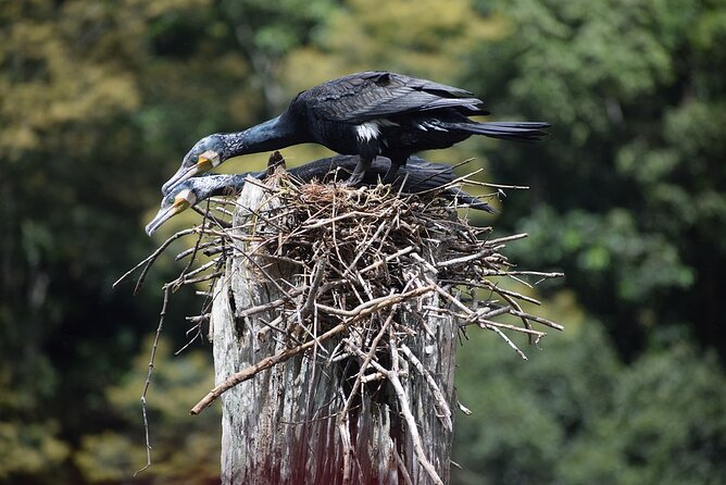 Explore The Rustic Life Of Thekkady With Lunch - Booking Information