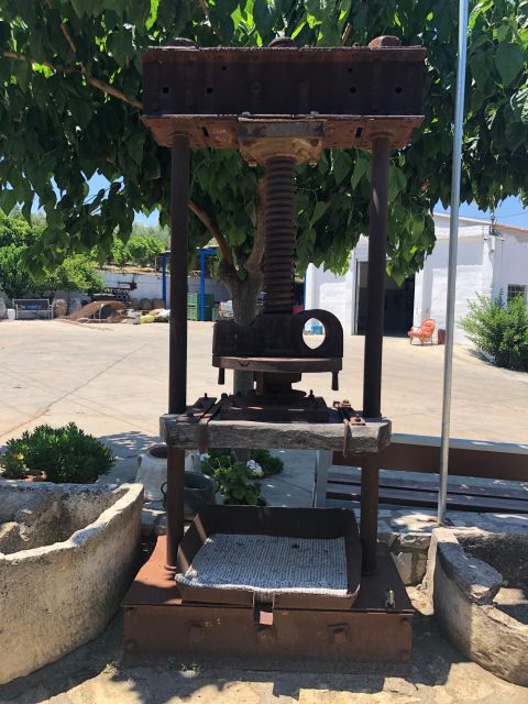 Explore the Secrets of Wine and Olives in Rethymno - Important Considerations