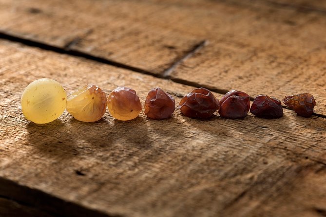 Explore the Sensational Wines of Tokaj - Meeting Point and Logistics