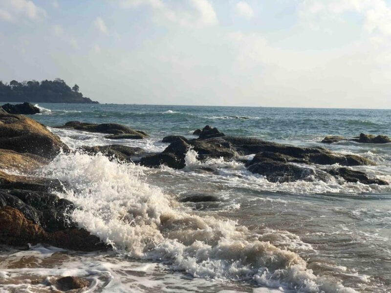 Explore The South Goa Full-Day City Sightseeing Tour - Customer Feedback