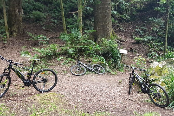 Explore the Stunning Furnas Valley on an E-Bike Adventure - Tour Reviews and Feedback