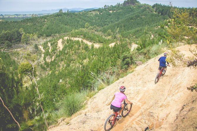 Explore the Waitangi MTB Park on Electric Bikes - Included Amenities