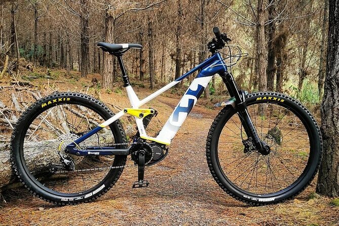 Explore the Waitangi MTB Park on Electric Bikes - Paihia Mountain Bikes