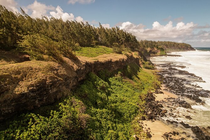Explore The Wild South - Tour Details and Pricing