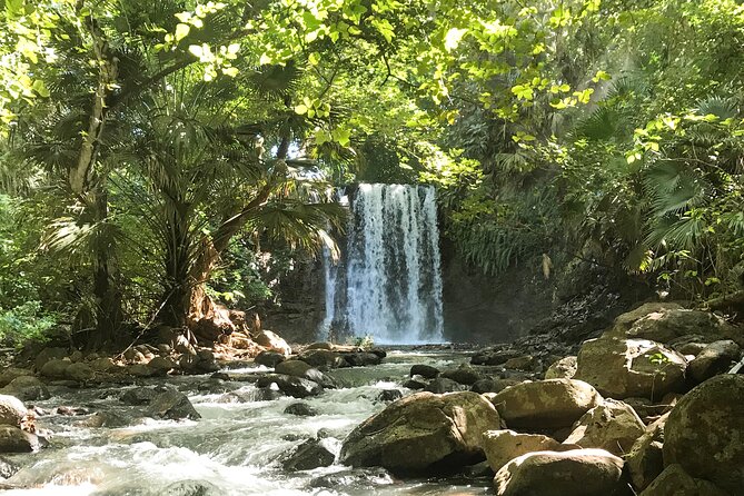 Explore The Wild South - Health and Accessibility Considerations