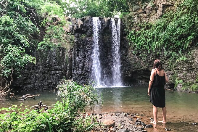 Explore The Wild South - Exploring the Wild South