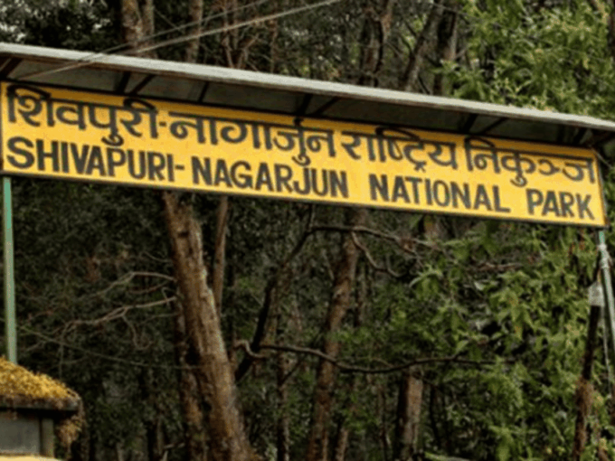 Explore the Wilderness of Shivapuri Hill: Day Hiking - Contact and Special Requests
