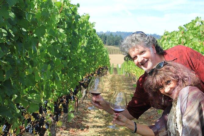 Explore the Wines of Oregons Willamette Valley - Private Tour Experience