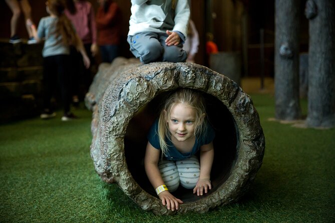 Explore Ticket to Fritzs in Branson - Exploring the Park Attractions