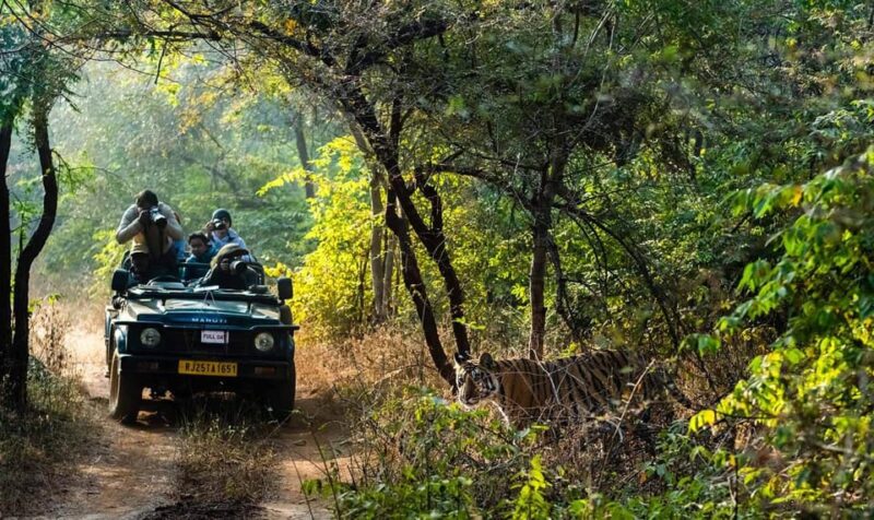 Explore Tiger Safari With Delhi Agra Jaipur Tour 7 Days - Inclusions