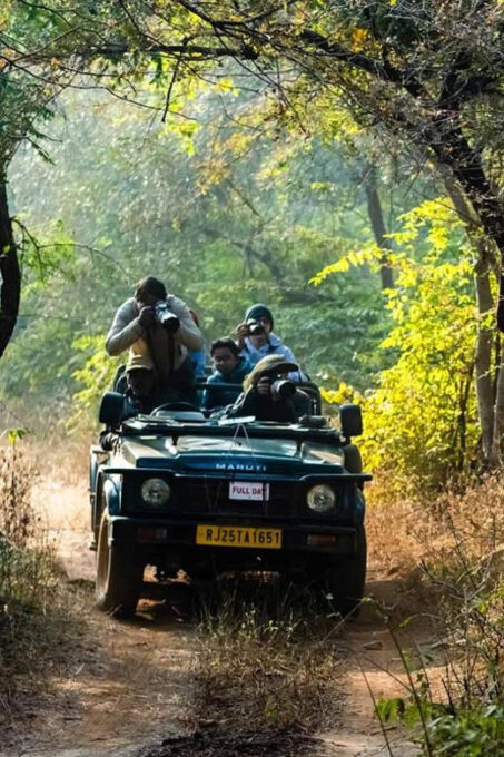 Explore Tiger Safari With Delhi Agra Jaipur Tour 7 Days - Exploring Historical Wonders
