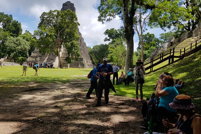 Explore Tikal Guatemala From Flores or Mundo Maya Airport - Traveler Feedback Summary