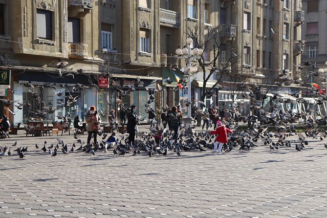 Explore Timisoara in 60 Minutes With a Local - Experience Details