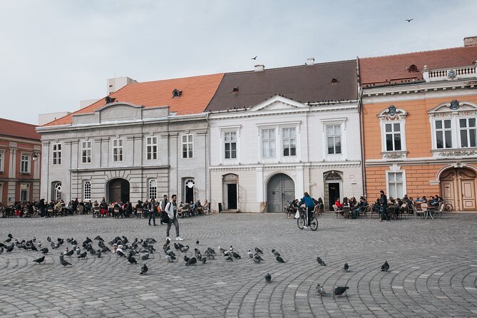 Explore Timisoara in 60 Minutes With a Local - Reviews and Ratings