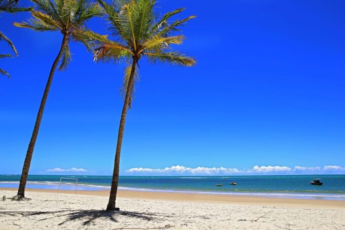 Explore Trancoso: Guided Tour of Local Wonders! - Inclusions and Information