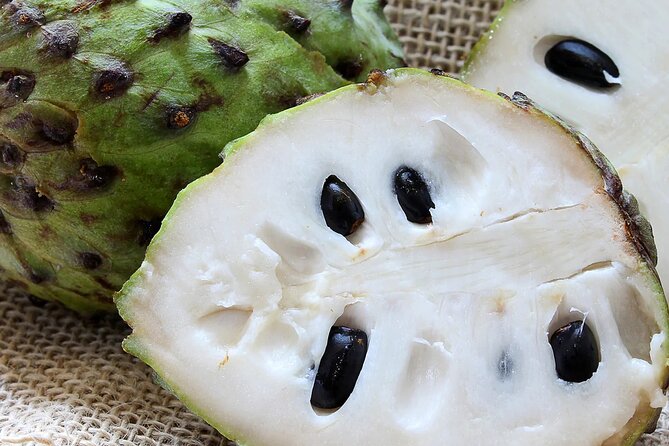 Explore Tropical Fruits & Flowers on Barbados Premier Eco-tour! - Meeting and Pickup Details