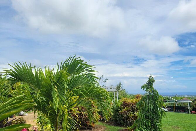 Explore Tropical Fruits & Flowers on Barbados Premier Eco-tour! - Booking Your Stay