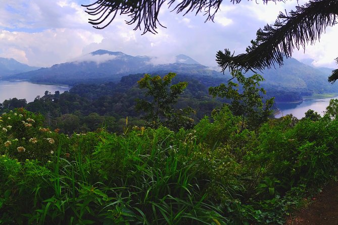 Explore Twin Lake Jungle Trekking and Canoeing - Included in the Tour