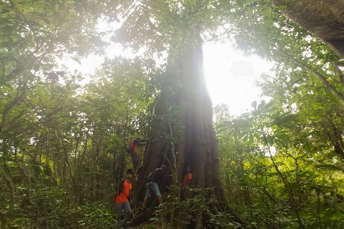 Explore Twin Lake Jungle Trekking and Canoeing - Visit to Tamblingan Temple