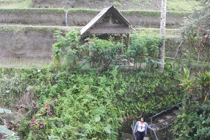 Explore Ubud - Inclusions
