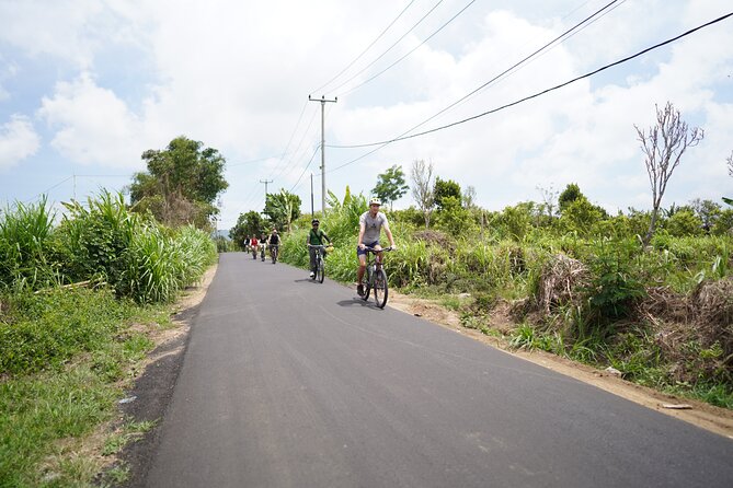 Explore Ubud With Electric Bike - Balinese Cuisine and Culture
