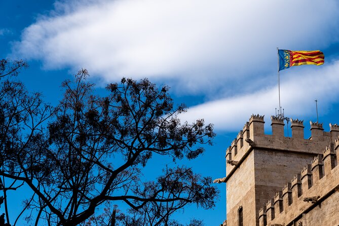 Explore Valencia in 60 Minutes With a Local - Experience the Local Atmosphere