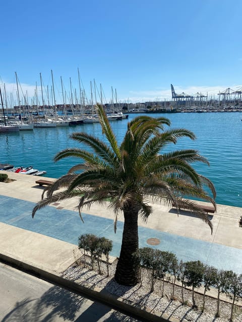 Explore Valencia's Coastal Gems: Private Sailing Tour - Inclusions