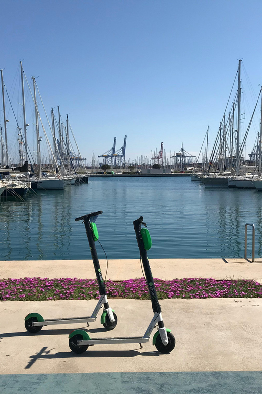 Explore Valencia's Coastal Gems: Private Sailing Tour - Natural Wonders