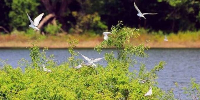 Explore Vedda Village and Gal Oya National Park on a 3-Day - Inclusions