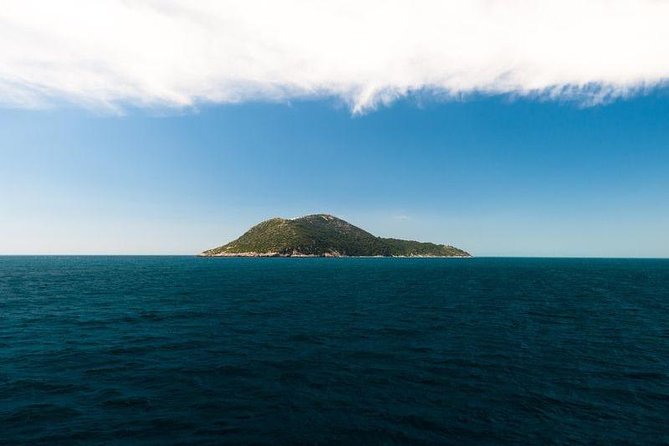 Explore Vlora Bay: Sazani Island &Karaburun Peninsula From Tirana - Cultural and Historical Insights