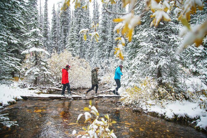 Explore Winter Wildlife Tracks Nature Walk in Canmore - Final Thoughts: Is It Worth It?