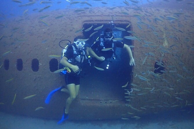 Explore Worlds Largest Plane Wreck by Scuba Diving in Kusadasi - Key Points
