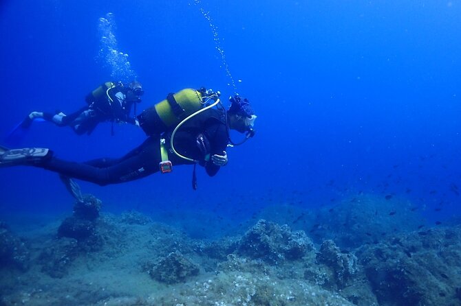 Explore Worlds Largest Plane Wreck by Scuba Diving in Kusadasi - Scuba Diving Highlights