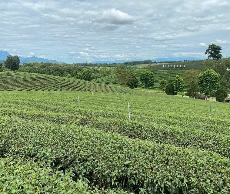Explorer Border road and Nature ( Tea and Coffee ) - FAQ