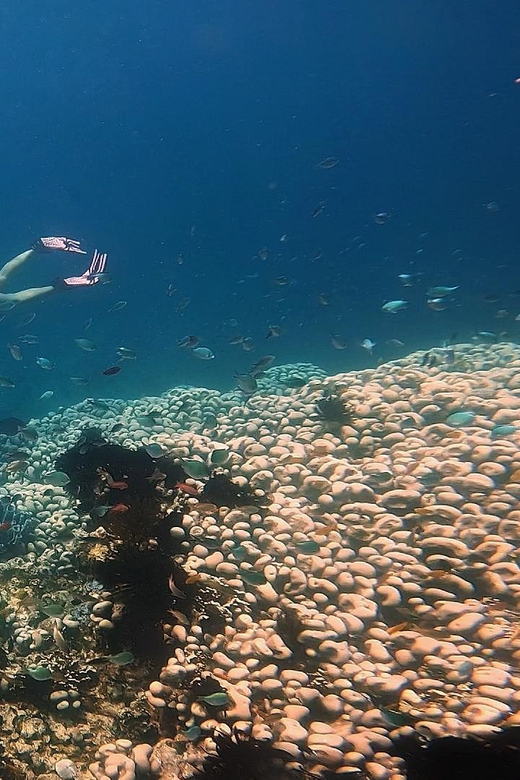 EXPLORER SECRET ( 5 ISLAND ) - Key Points