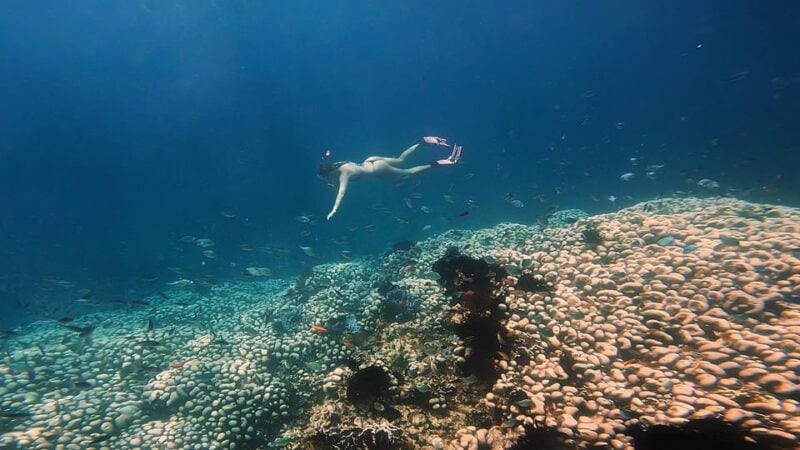 EXPLORER SECRET ( 5 ISLAND ) - Key Activities