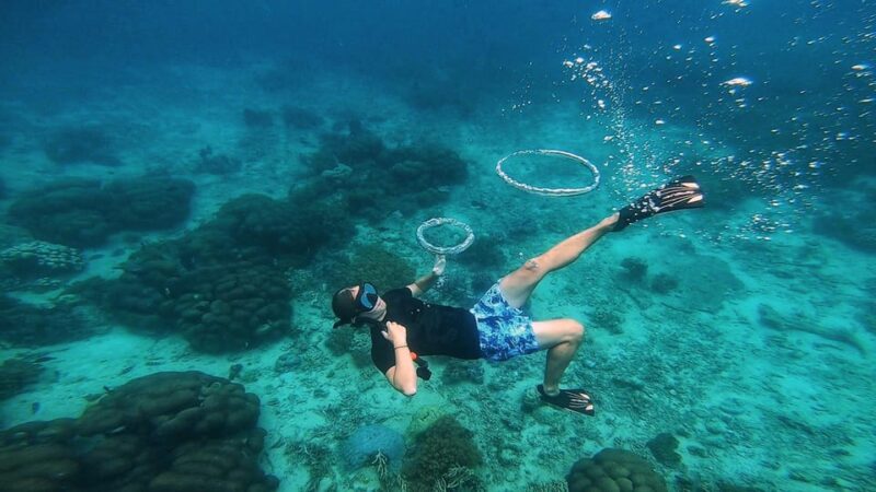EXPLORER SECRET ( 5 ISLAND ) - Inclusions and Essentials