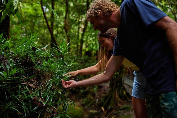 Explorer Tour by Cairns Waterfalls - FAQ