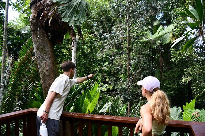 Explorer Tour by Cairns Waterfalls - Final Thoughts: Who Will Love This Tour?