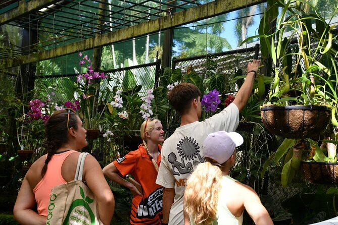 Explorer Tour by Cairns Waterfalls - FAQ