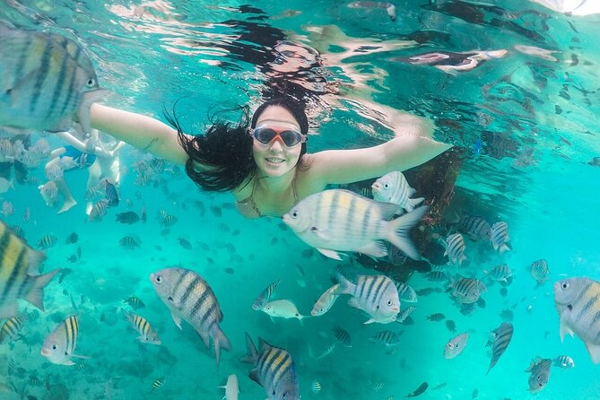 Exploring Angra Dos Reis and Ilha Grande in One Day - Accessibility and Safety