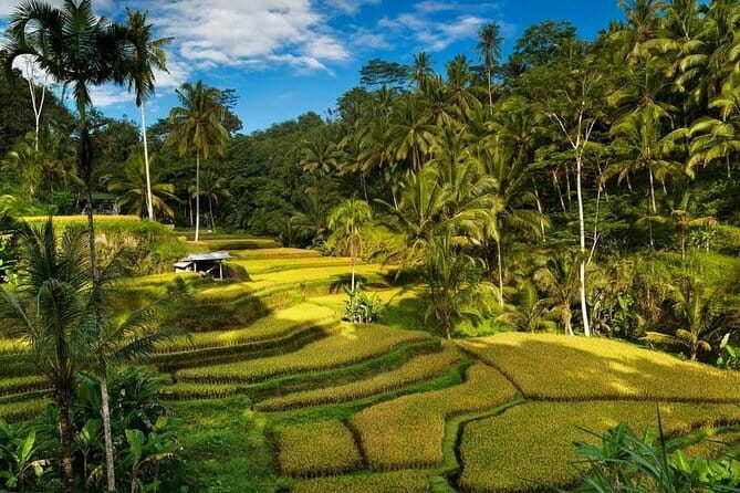 Exploring Bali in 3 Days: Discover Top Places in Bali - First Impressions and General Overview