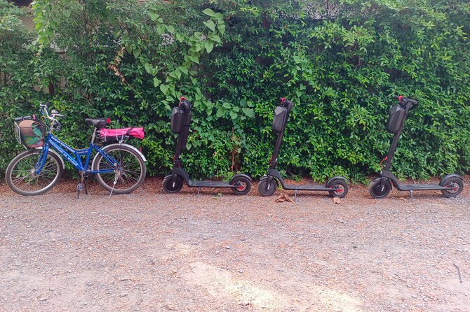 Exploring Bangkachao (Green Lung of Bangkok) by E-Scooter - What Is Bangkachao?