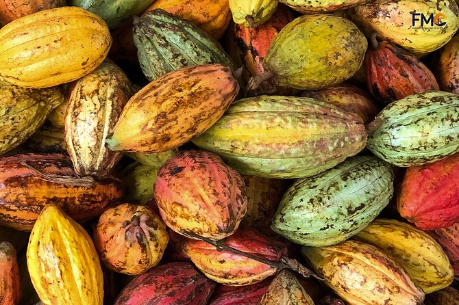 Exploring Cai Rang Floating Market, Cacao&The Hidden Small Canal - Booking and Confirmation