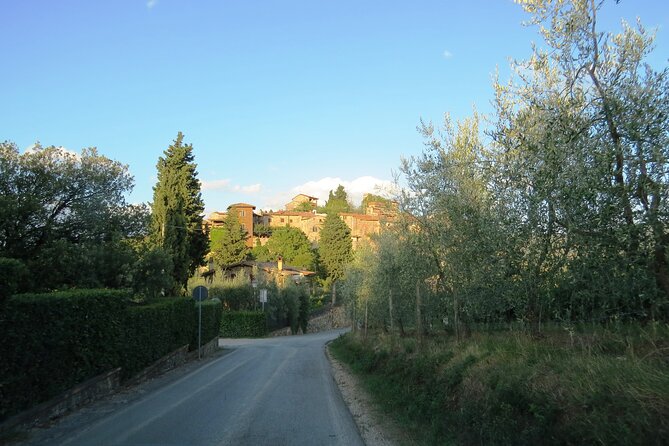 Exploring Chianti by Electric Vespa - Self Drive - Participant Requirements