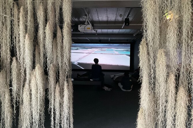 Exploring Contemporary Art: Private Tour of Museums With Tickets - Tour Highlights