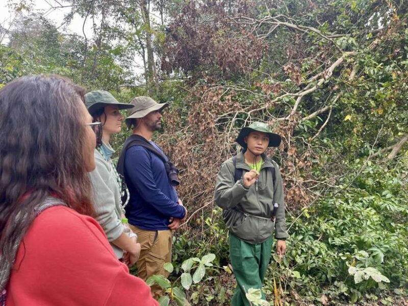 Exploring Don Village & Yok Don National Park - Key Points