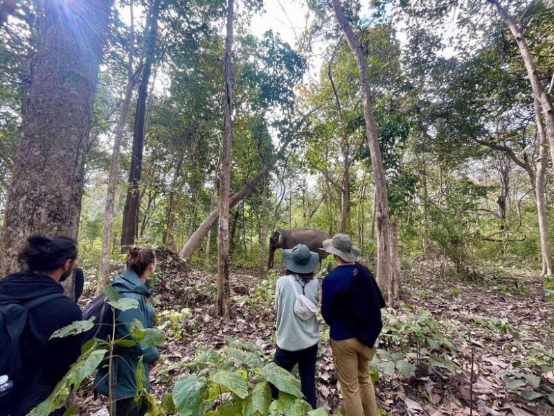 Exploring Don Village & Yok Don National Park - Overview of the Tour