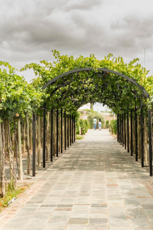 Exploring El Enemigo & Casa Vigil / Meet Mendoza Wine Icon - Key Points